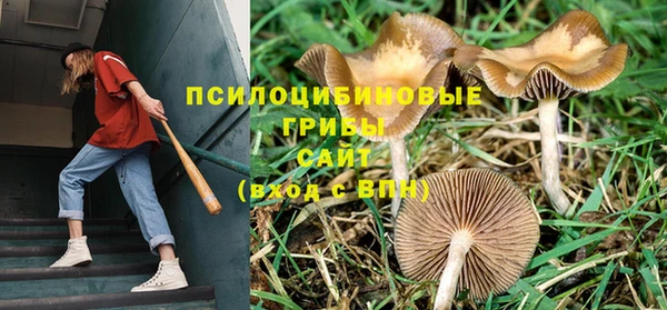 спиды Беломорск