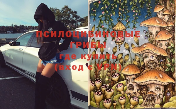 спиды Беломорск